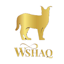wshaq morocco
